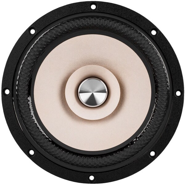 Main product image for Tang Band W8-2145 8" Paper Cone Full Range Driv 264-960